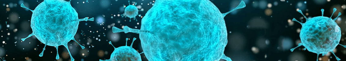 COVID-19 Virus