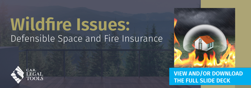 Slide Deck Image - Wildfire Issues
