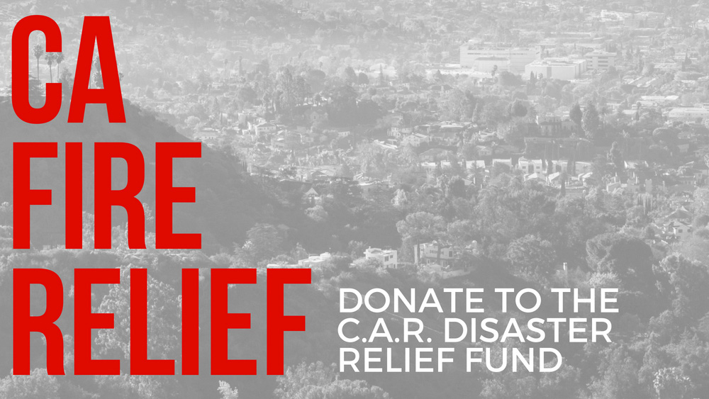 Disaster Relief Fund