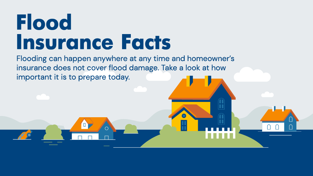 Flood Insurance Infographic