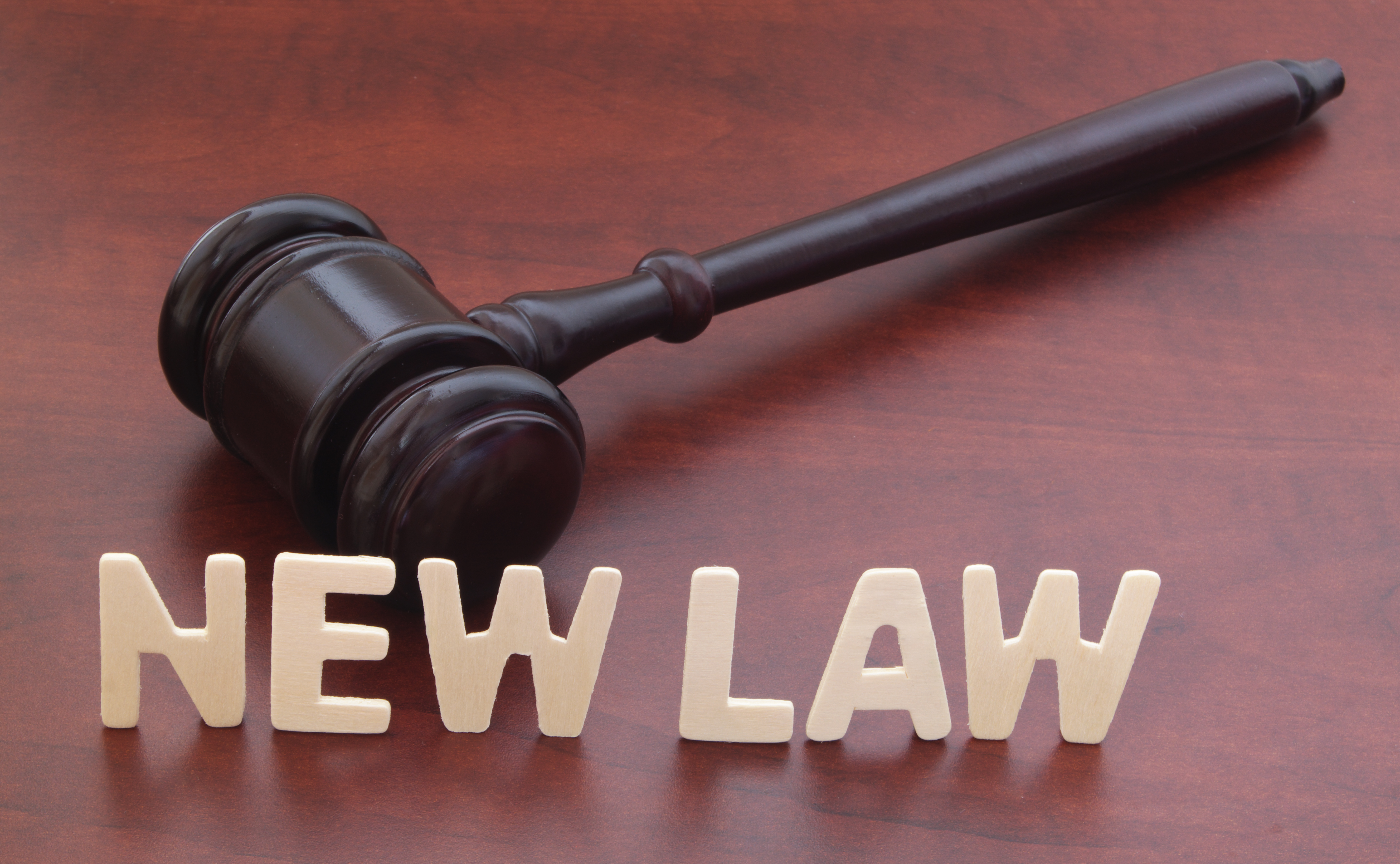 new law image